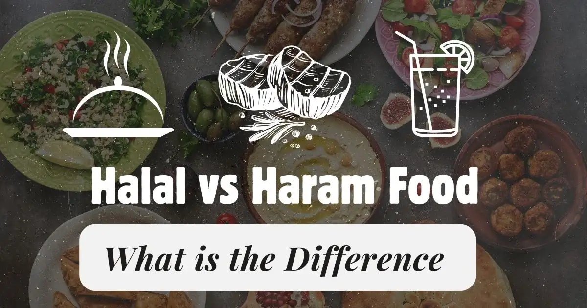 Halal Vs Haram Food What You Need To Know